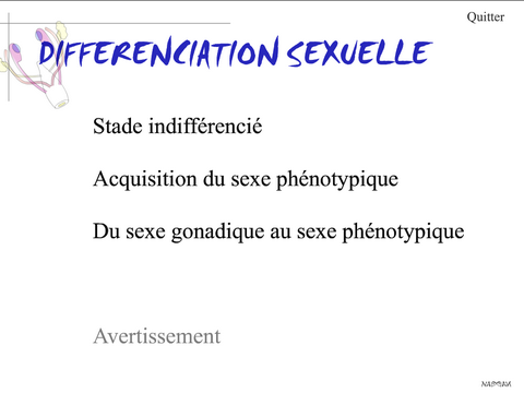 differenciation.sexuelle