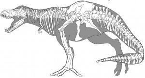 tyranosaure